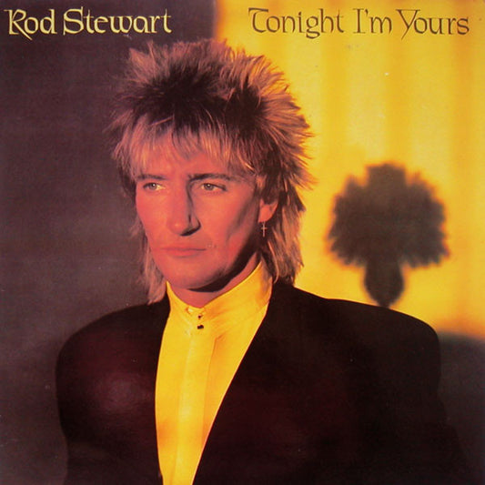 Rod Stewart - Tonight I'm Yours -  Vinyl LP, Album, Repress, UK 1981 (USED NM)