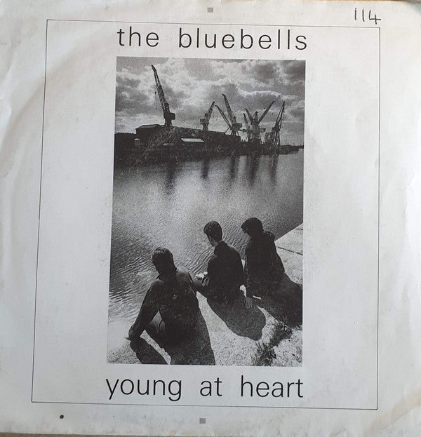 The Bluebells - Young At Heart - Vinyl 7", 45 RPM, UK 1984 (USED VG+)