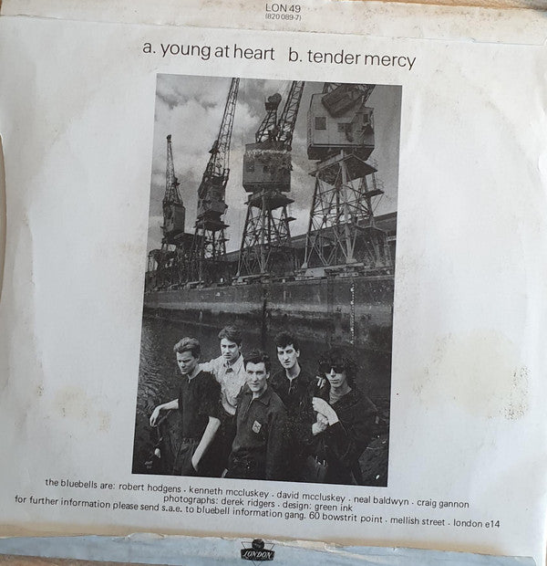 The Bluebells - Young At Heart - Vinyl 7", 45 RPM, UK 1984 (USED VG+)