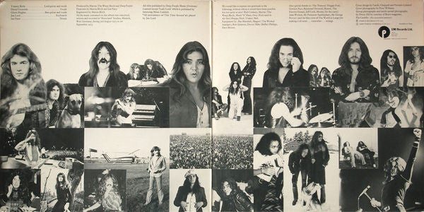 Deep Purple - Come Taste The Band - Vinyl LP, Album, Stereo, UK 1975 (USED VG)