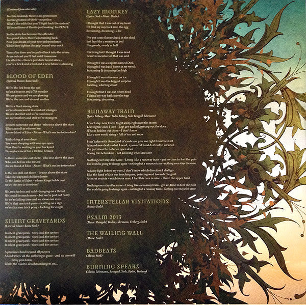 The Flower Kings - Desolation Rose - 2 × Vinyl LP, Album, 2013 (USED VG+)