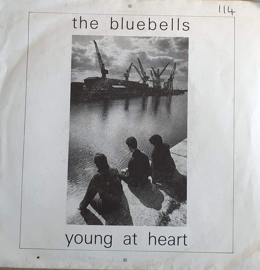 The Bluebells ‎- Young At Heart - Vinyl 7", 45 RPM, UK 1984 (USED VG+)