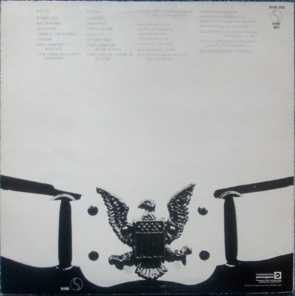Ramones – Ramones - Vinyl LP, Album, Stereo, UK 1976 (USED VG)