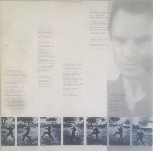 Sting - The Dream of the Blue Turtles - Vinyl LP, Album, Stereo, 1985 (USED VG+)