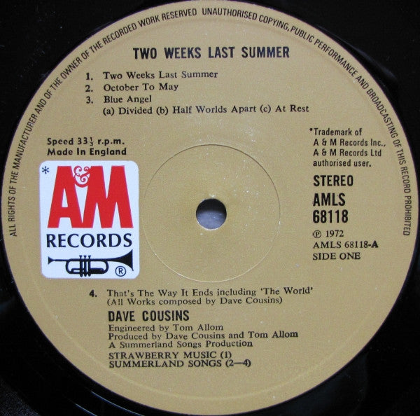 Dave Cousins ‎– Two Weeks Last Summer - Vinyl, LP, Album, UK 1972 (USED VG+)