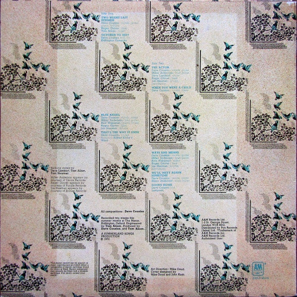 Dave Cousins ‎– Two Weeks Last Summer - Vinyl, LP, Album, UK 1972 (USED VG+)