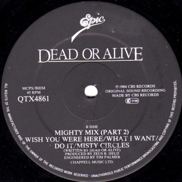 Dead Or Alive ‎– You Spin Me Round (Like A Record) (Performance Mix) - Vinyl 12", 45 RPM, Single, UK 1984 (USED VG)