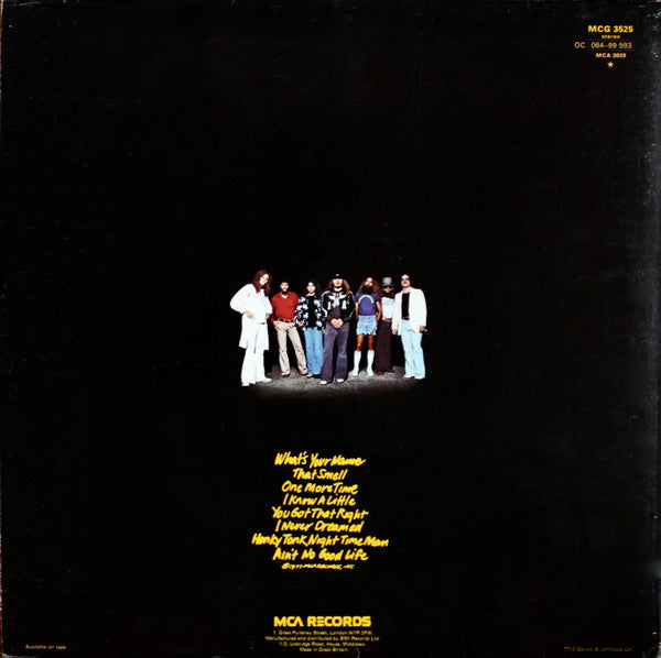 Lynyrd Skynyrd – Street Survivors - Vinyl LP, Album, Stereo, UK 1977 (USED VG+)