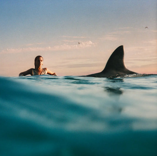 Dua Lipa – Radical Optimism - Vinyl LP, Album, Special Edition, Cobalt Blue Vinyl (NEW SEALED)