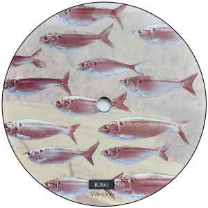 Levitation - Need For Not - Vinyl LP, Album Vinyl, 7" Single Sided, Single Etched, Limited Edition, UK 1992 (USED VG+)